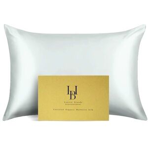 Pure 100% Mulberry Silk Pillowcase (Light Gray, Queen)